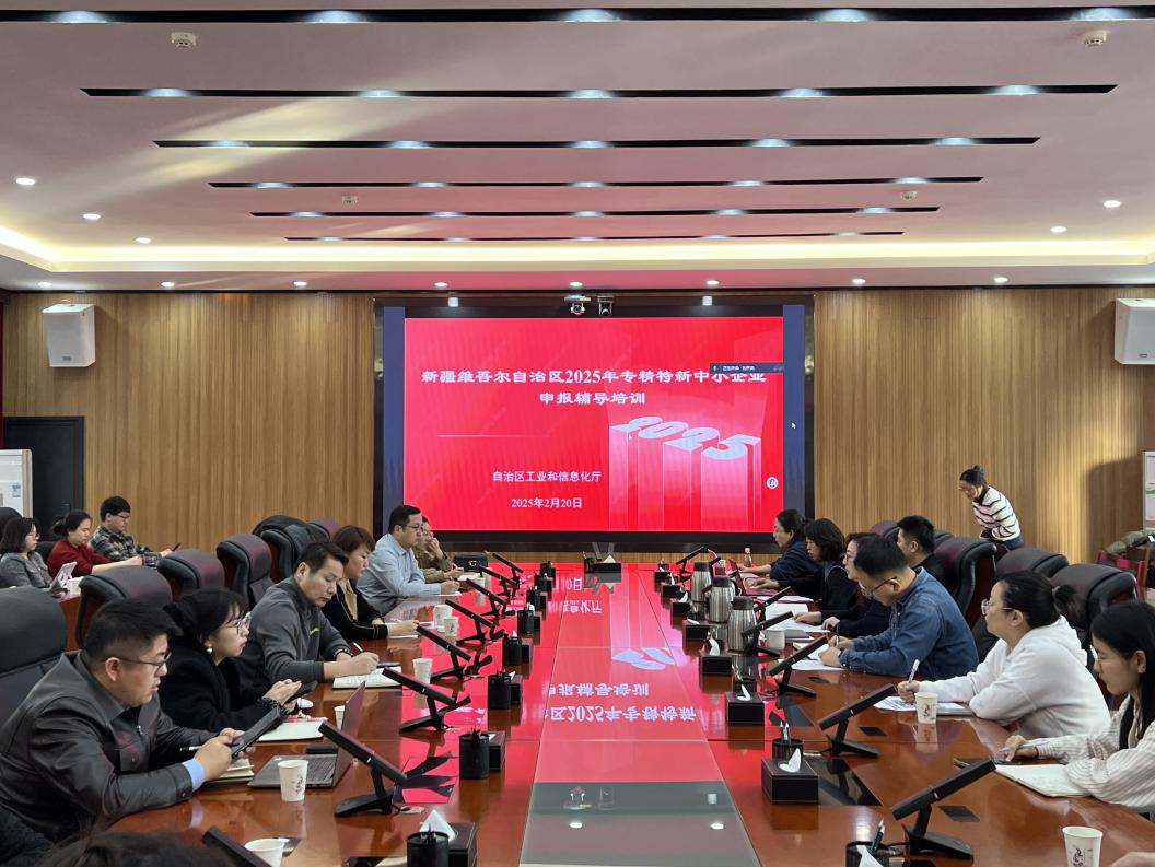 2025年专精特新中小企业申报辅导培训会--赋能成长,迈向卓越_要闻动态_哈密市人民政府